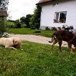 Lantgård Zakatek Szczescia Eko Kiwity
