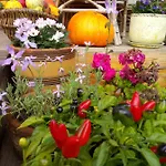 Lantgård Zakatek Szczescia Eko