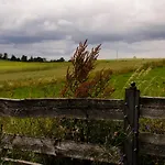 Zakatek Szczescia Eko Kiwity