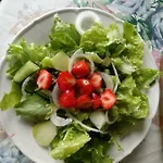 Zakatek Szczescia Eko 农家乐 Kiwity