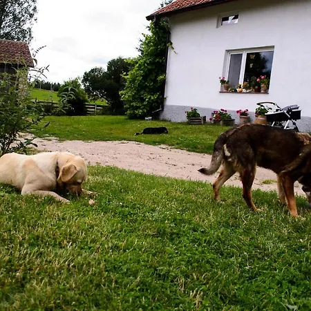 Farm stay Zakatek Szczescia Eko Kiwity