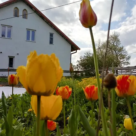 Zakatek Szczescia Eko