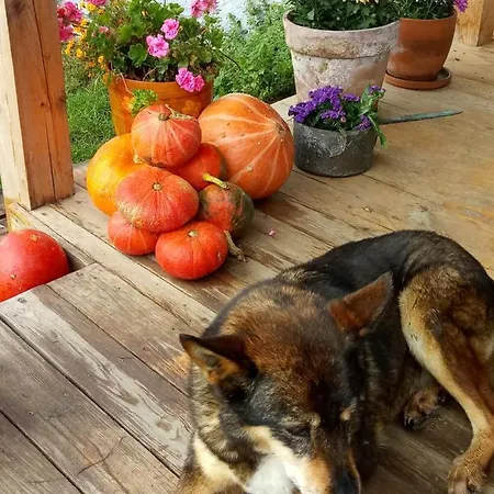 Zakatek Szczescia Eko