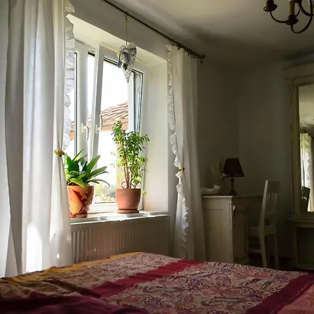 Zakatek Szczescia Eko Kiwity