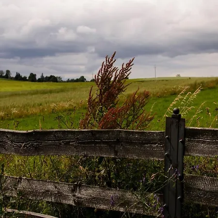 Zakatek Szczescia Eko Kiwity