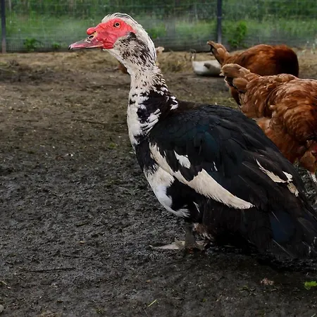 Farm stay Zakatek Szczescia Eko