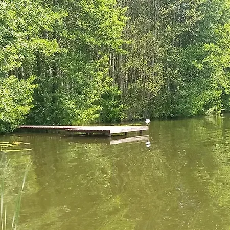 Zakątek Szczęścia Eko Kiwity