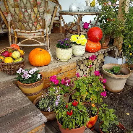 Farm stay Zakatek Szczescia Eko