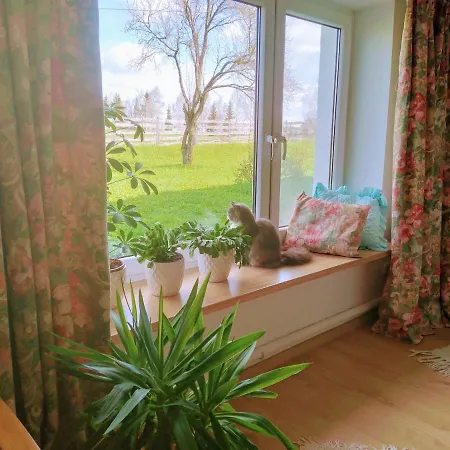 Zakatek Szczescia Eko Agroturismo Kiwity