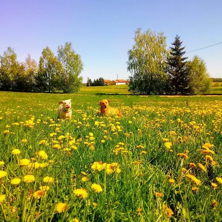 Zakatek Szczescia Eko Kiwity
