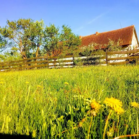 Zakatek Szczescia Eko