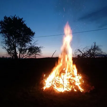 Zakatek Szczescia Eko Farm stay Kiwity