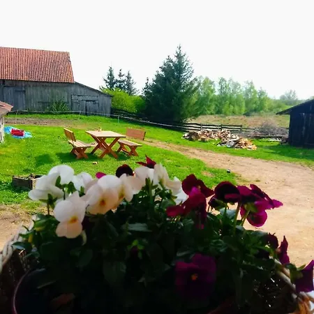 Farm stay Zakatek Szczescia Eko Kiwity