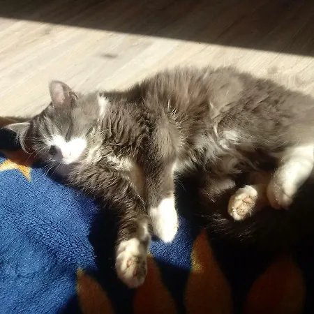 Farm stay Zakatek Szczescia Eko Kiwity