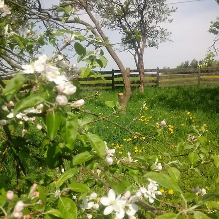 Zakatek Szczescia Eko Farm stay *