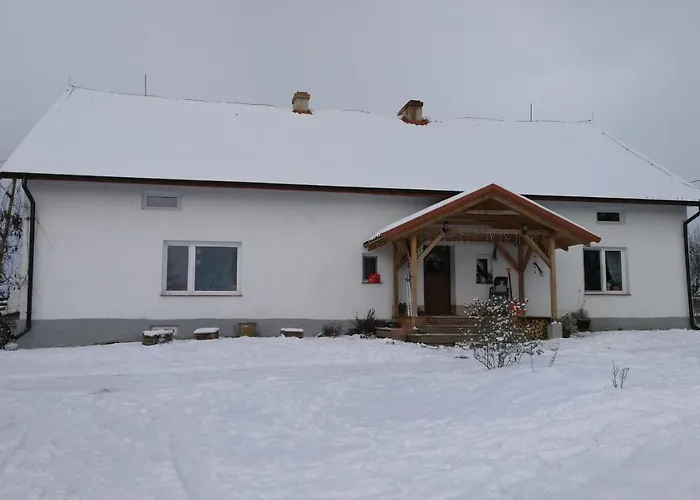 Zakatek Szczescia Eko Kiwity