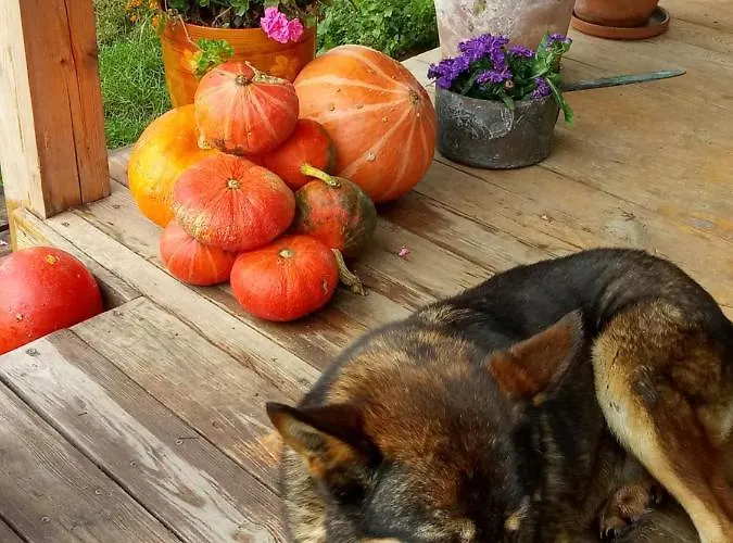 Zakatek Szczescia Eko