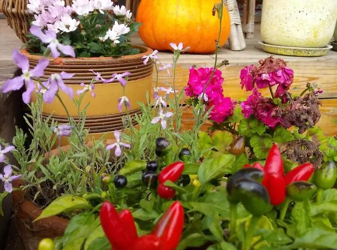 Farm stay Zakatek Szczescia Eko