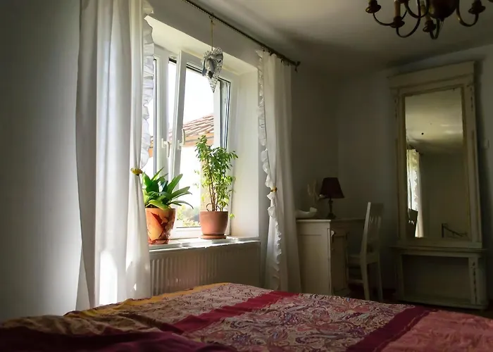 Zakatek Szczescia Eko Kiwity