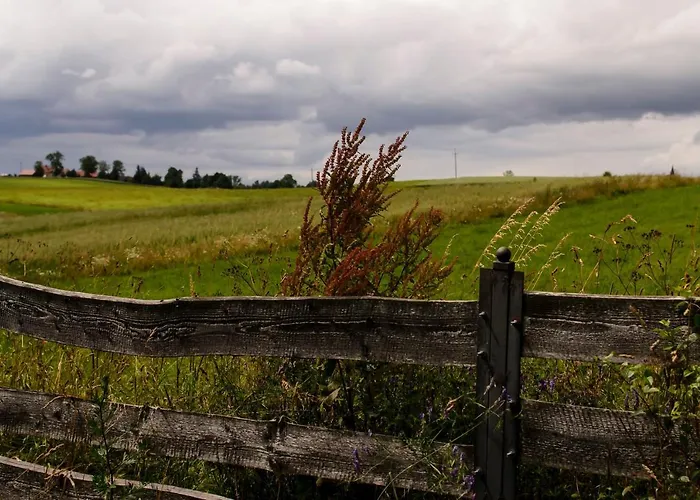 Zakatek Szczescia Eko Kiwity