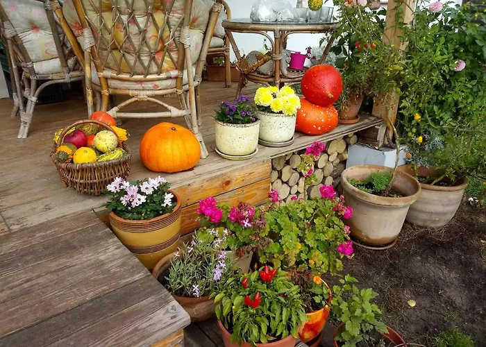 Farm stay Zakatek Szczescia Eko