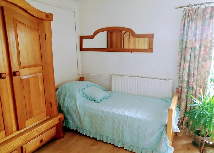 Zakatek Szczescia Eko Kiwity