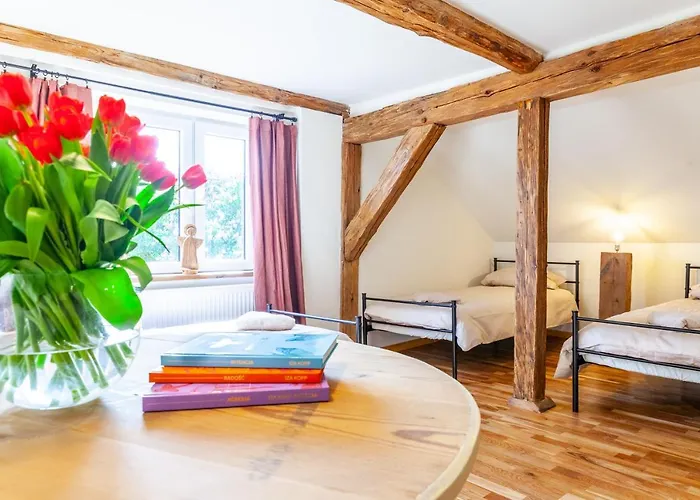 Zakątek Szczęścia Eko Kiwity