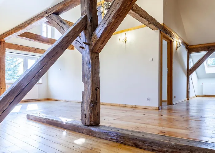 Zakatek Szczescia Eko Kiwity