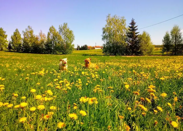 Zakatek Szczescia Eko Kiwity