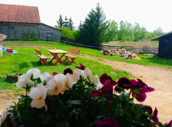 Farm stay Zakatek Szczescia Eko Kiwity