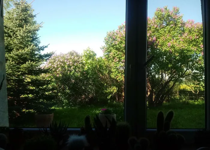 Zakatek Szczescia Eko Kiwity